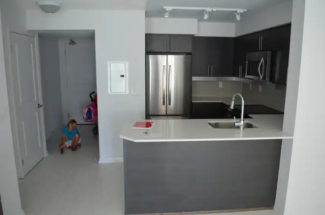 LIBERTY VILLAGE - $2500 - 1 BED   DEN, 2 FULL BATH - Photo 2