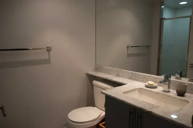 LIBERTY VILLAGE - $2500 - 1 BED   DEN, 2 FULL BATH - Photo 9