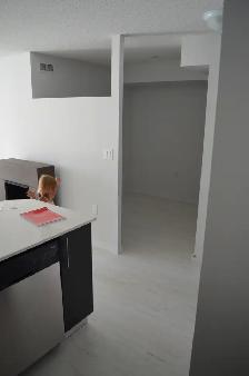 LIBERTY VILLAGE - $2500 - 1 BED   DEN, 2 FULL BATH - Photo 10