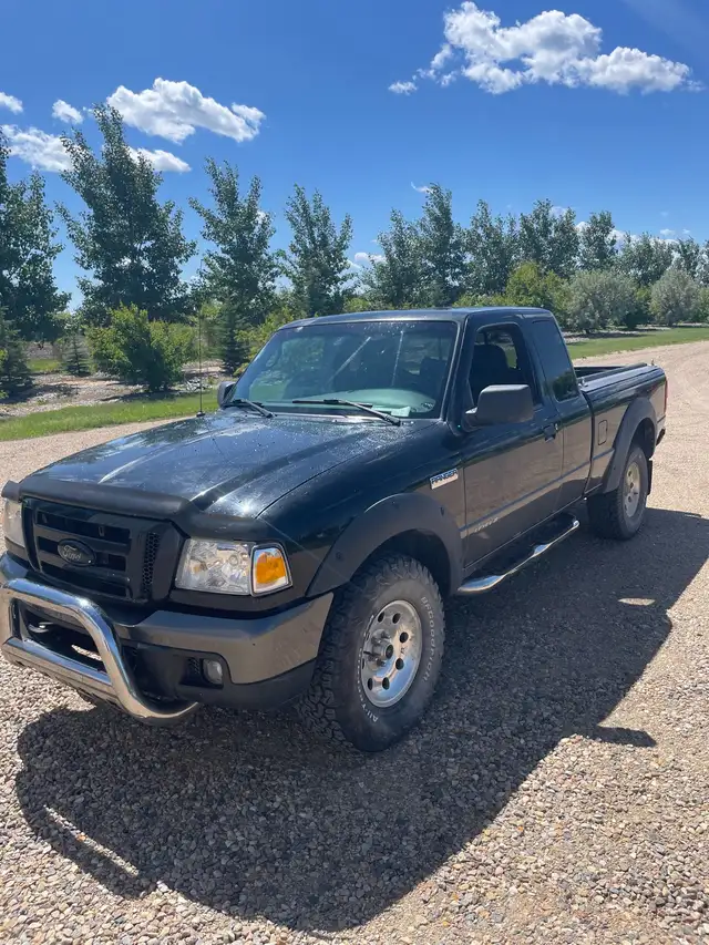 spring yard clean ups