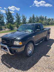 spring yard clean ups