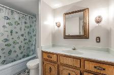 Downtown Toronto room available for rent - Photo 5