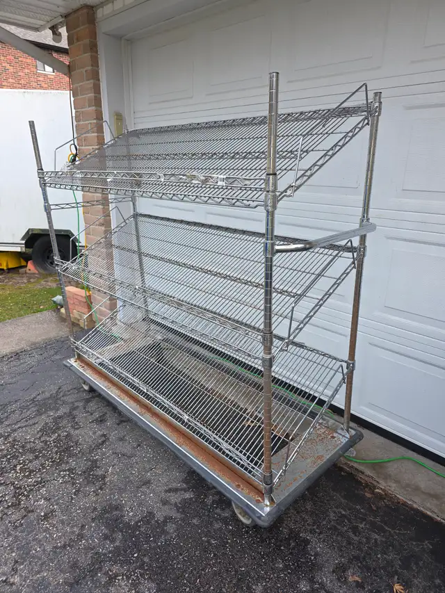 Stainless Steel Rolling Slanted Tool Display Rack Shelving Unit