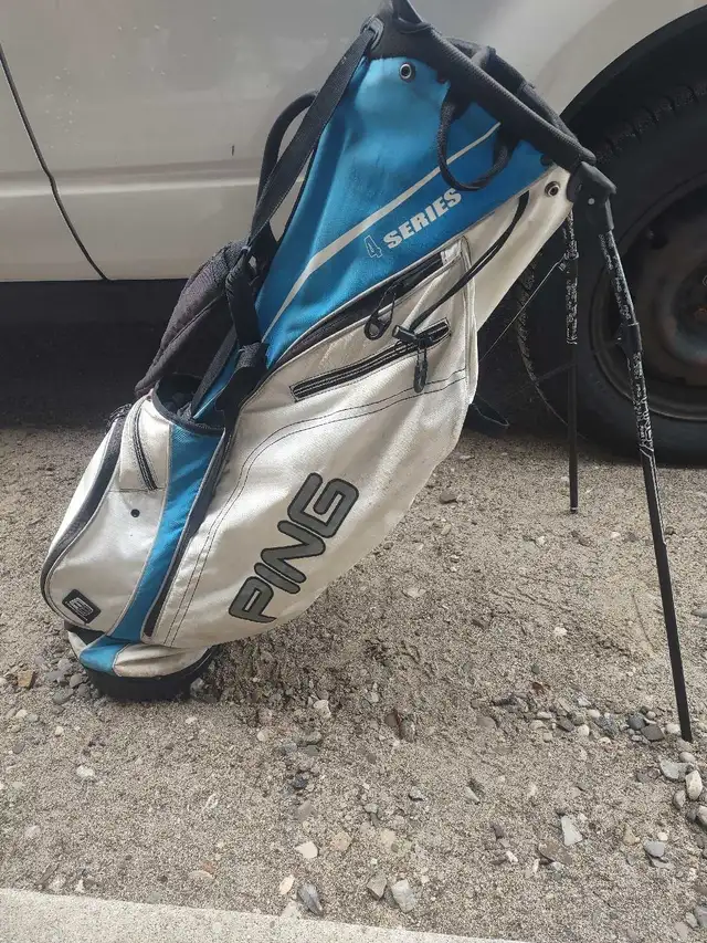 Ping stand bag