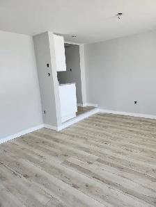 220A King St W - Newly Renovated Studio West, Util incl - Photo 2