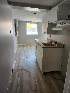 220A King St W - Newly Renovated Studio West, Util incl - Photo 5