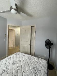 #8721- 3 Bed/ 1.5 Bath Upper Level. Avail Now! $2000 H/W/P Incl! - Photo 14