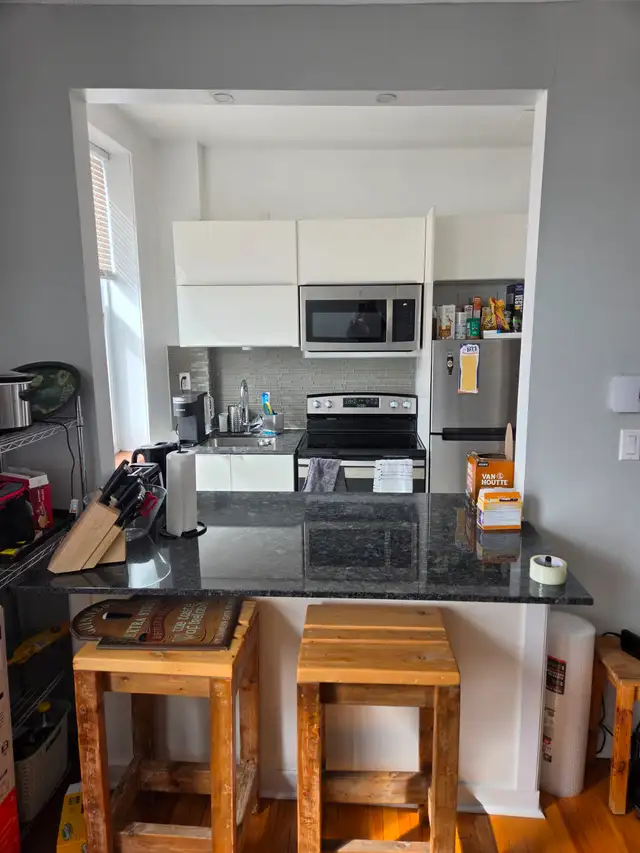 3½ Sunny, Clear View & Spacious - Vendôme M, NDG - Photo 2