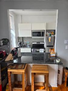 3½ Sunny, Clear View & Spacious - Vendôme M, NDG - Photo 2