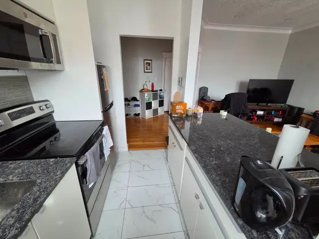 3½ Sunny, Clear View & Spacious - Vendôme M, NDG - Photo 4