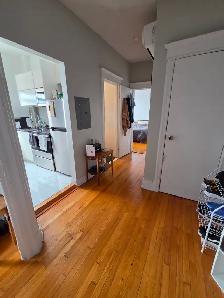 3½ Sunny, Clear View & Spacious - Vendôme M, NDG - Photo 5