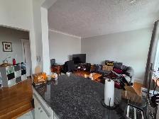 3½ Sunny, Clear View & Spacious - Vendôme M, NDG - Photo 6