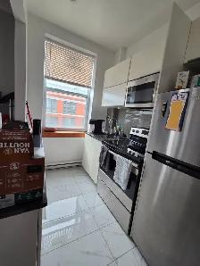 3½ Sunny, Clear View & Spacious - Vendôme M, NDG - Photo 7