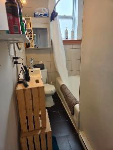 3½ Sunny, Clear View & Spacious - Vendôme M, NDG - Photo 9