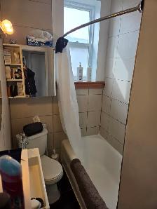 3½ Sunny, Clear View & Spacious - Vendôme M, NDG - Photo 10