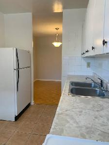 One bedroom apartment for rent - 1 MONTH FREE - Photo 4