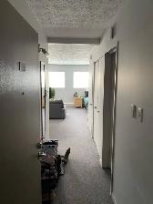 Appartement 3 1/2 - Photo 2