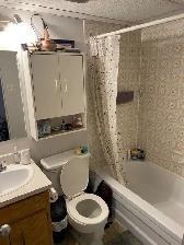 Appartement 3 1/2 - Photo 3