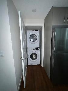 Basement for rent - Photo 5