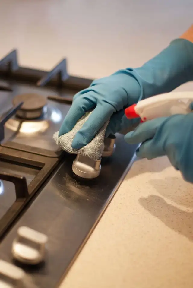 cleaning lady / femme de ménage $25/hr