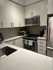 Beautiful 1 Bedroom for Rent Downtown Barrie - Photo 2