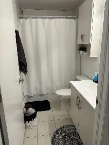 Beautiful 1 Bedroom for Rent Downtown Barrie - Photo 3