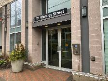 Beautiful 1 Bedroom for Rent Downtown Barrie - Photo 13