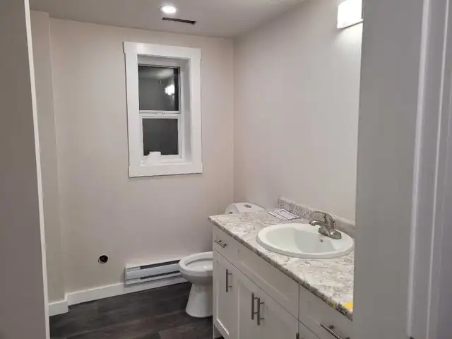 3 bdrm fully furnished ground level suite - Photo 10