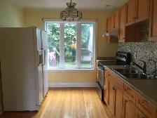 One Bedroom main floor unit for rent available from May 1st,2026 - Photo 9