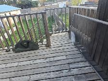 3 bed 2 bath half duplex with yard