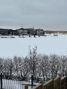 2 legal bedroom fully furnished in workout basement