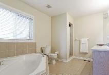 3 Bedroom House For Lease Near Bovaird drive E & Highway 410 - Photo 5