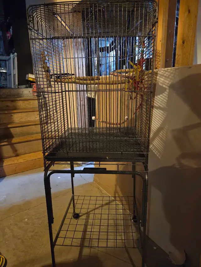 Bird cage on stand