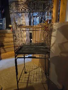 Bird cage on stand