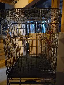 Bird cage on stand - Photo 2