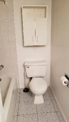 Bright 1 Bedroom Basement, Steps to subway - Yonge & Sheppard - Photo 13