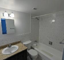 Seeking roommate for  2 bedroom apartment - Photo 2