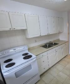 Seeking roommate for  2 bedroom apartment - Photo 3