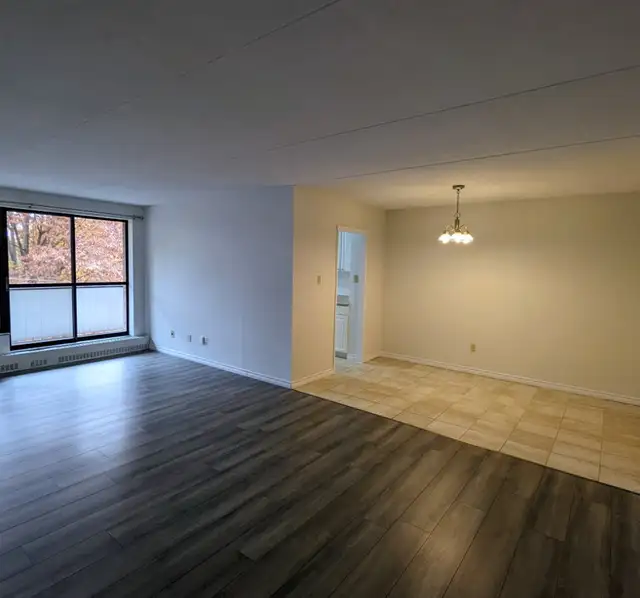 Seeking roommate for  2 bedroom apartment - Photo 4