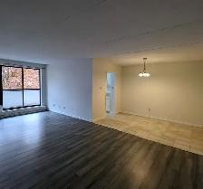 Seeking roommate for  2 bedroom apartment - Photo 4