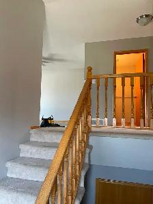 Large Spacious 2 Bdrm Mainfloor Suite for Rent - Photo 8