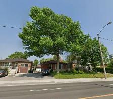 Basement Room for Rent