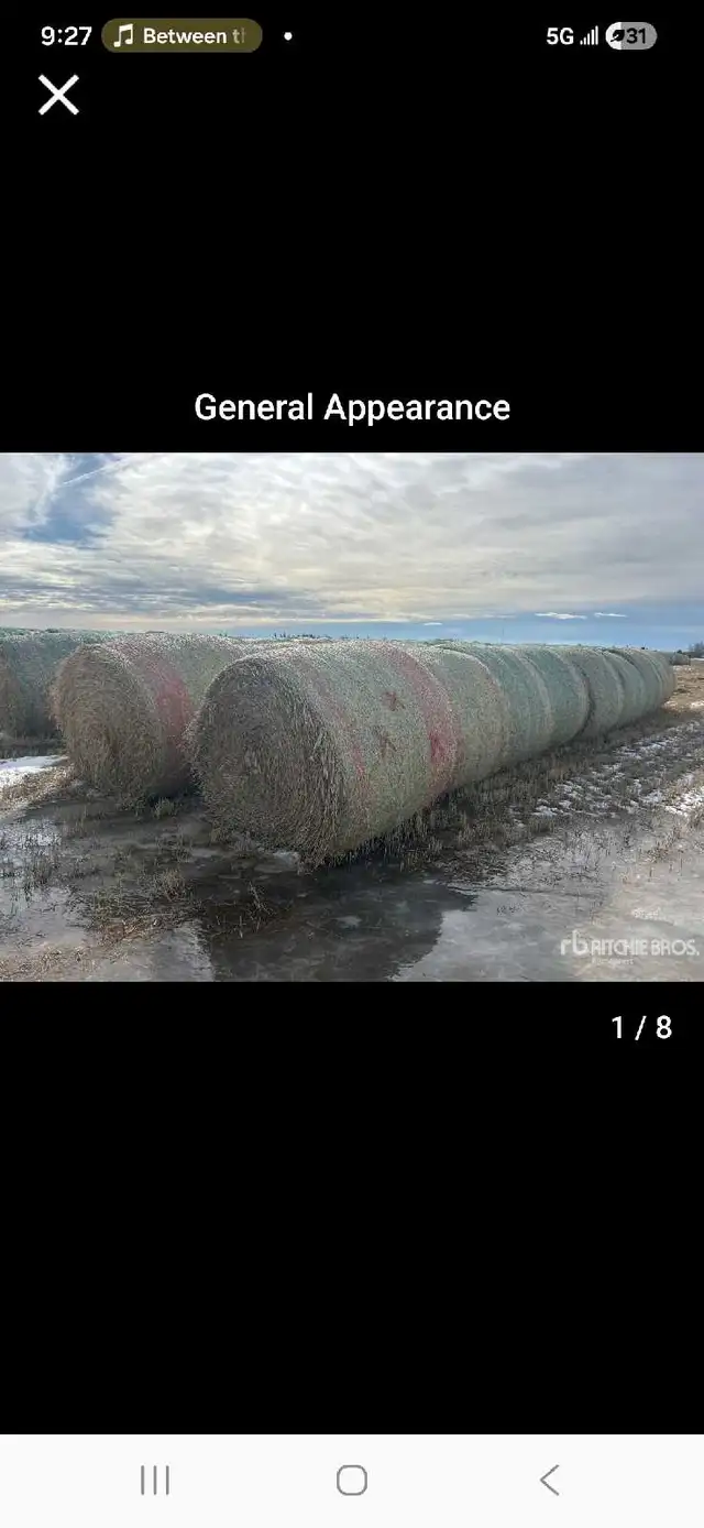 bales up for auction