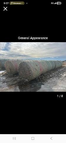 bales up for auction