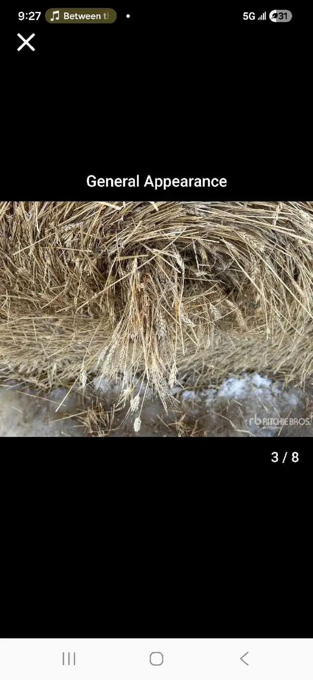 bales up for auction - Photo 3