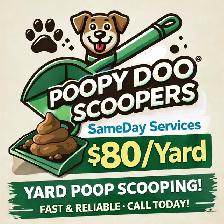 Tidy Pups Yard Cleaning