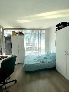 Room Available Near Union Station - Photo 2