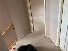 IMPULSE INDUSTRIESCALGARYHello Calgary!My name is, - Photo 5