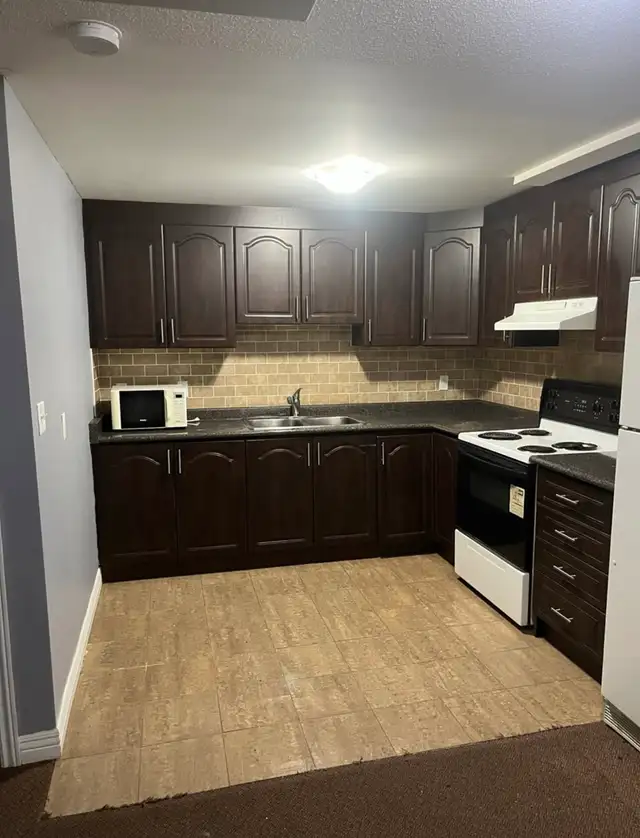 BASEMENT APARTMENT FOR RENT | MARKHAM & 14TH - Photo 2
