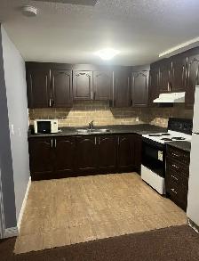 BASEMENT APARTMENT FOR RENT | MARKHAM & 14TH - Photo 2